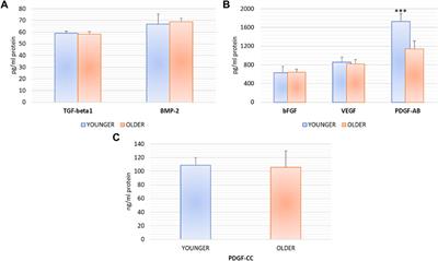 Two Hits for Bone Regeneration in Aged Patients: Vertebral Bone Marrow Clot as a Biological Scaffold and Powerful Source of Mesenchymal Stem Cells